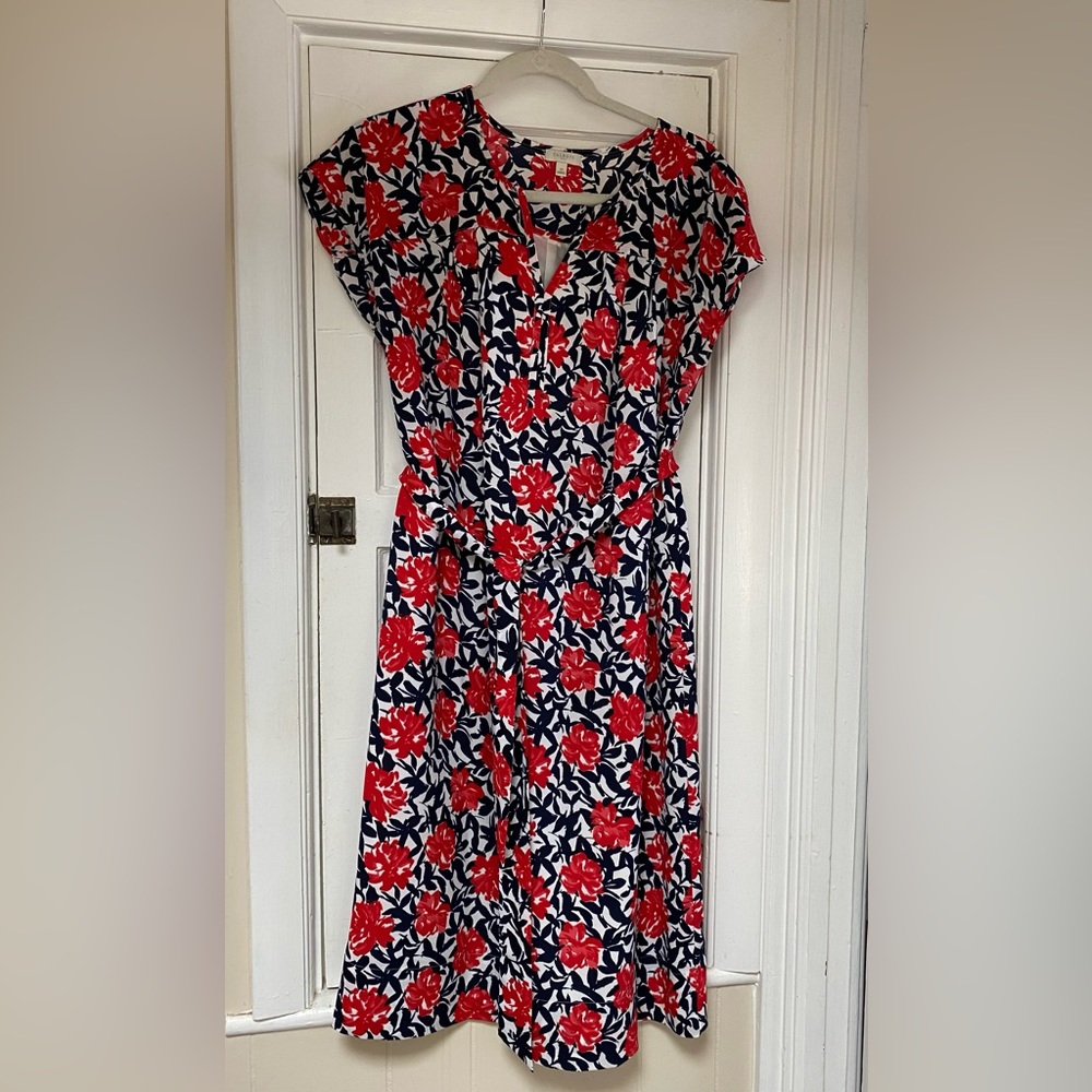 Navy and Red Floral Dress